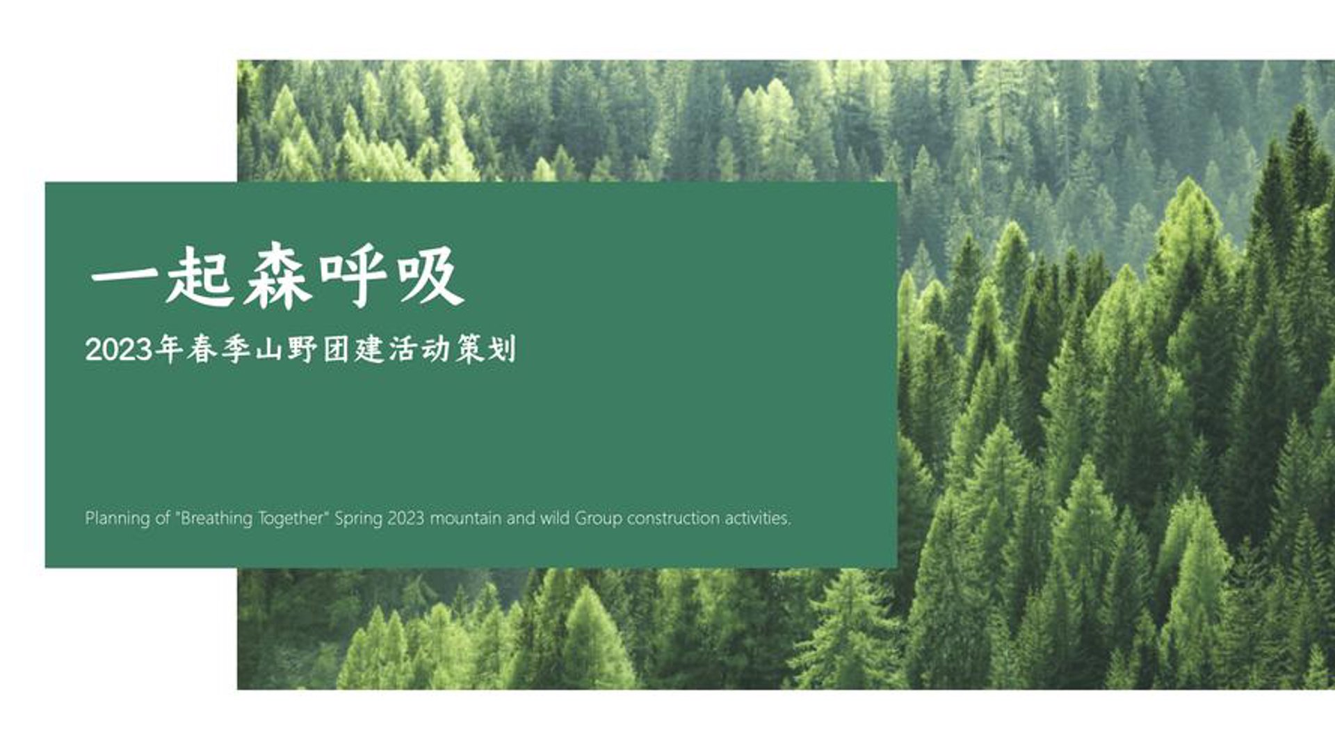 治森节制冷